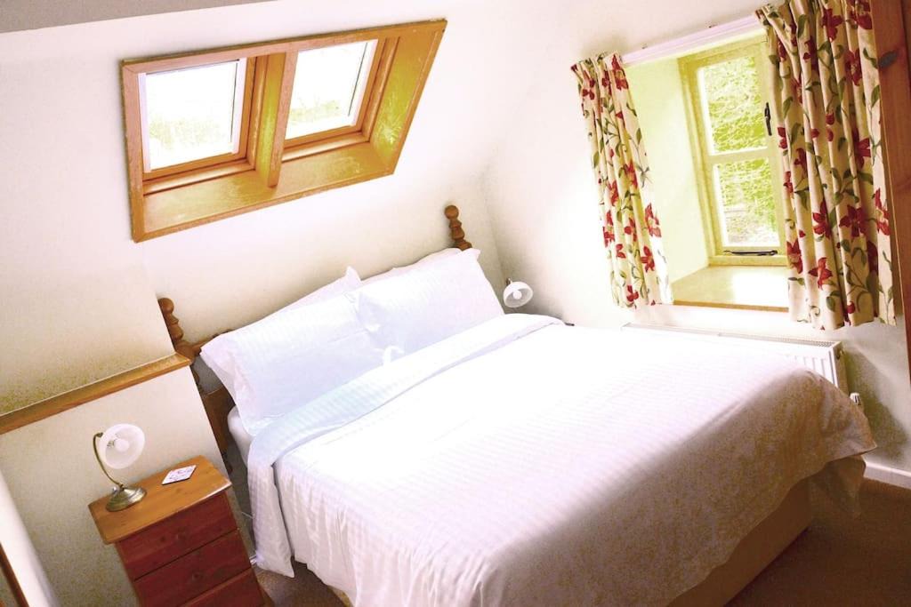 Photo of Others in Graigfechan