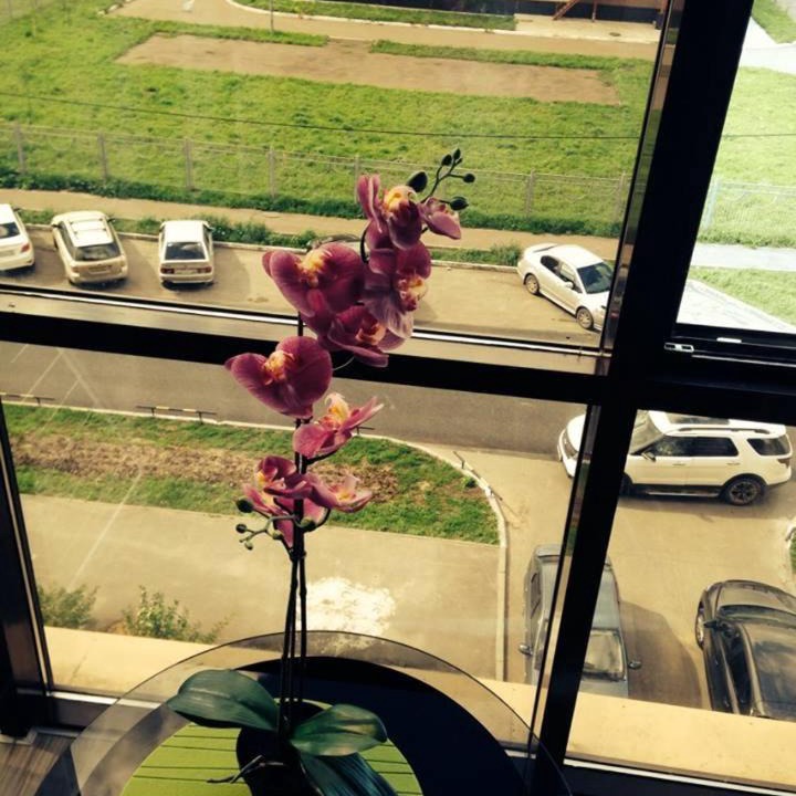 Photo of Others in Sovetsky City District