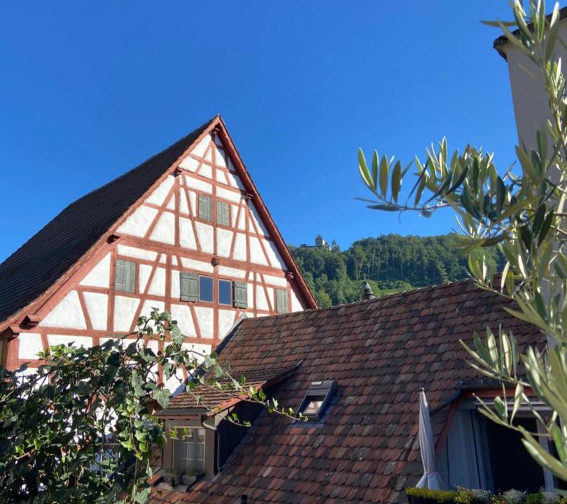 Photo of Others in Stein am Rhein