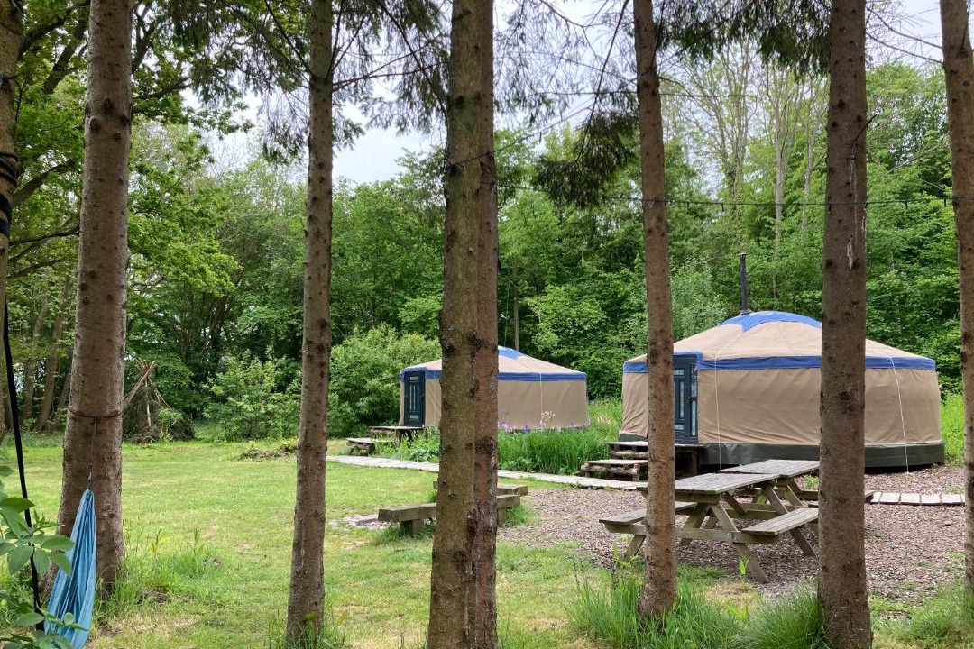 Photo of Others in Rye