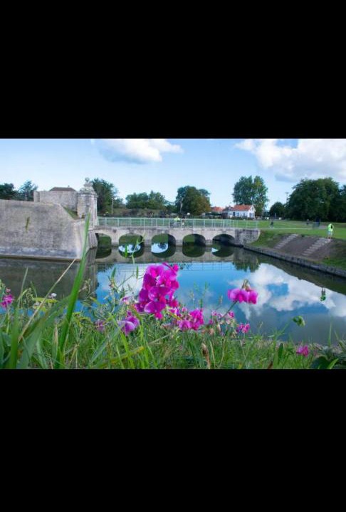 Photo of Others in Gravelines