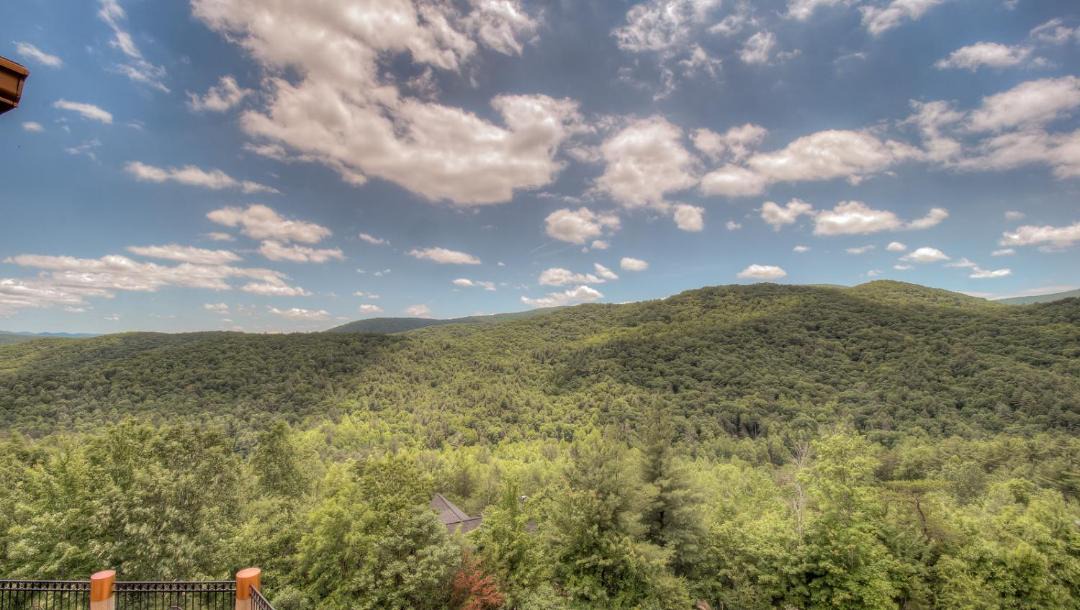 Photo of Others in Cherry Log