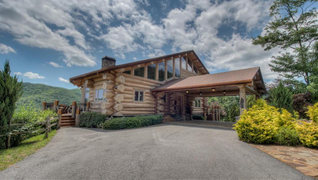 Photo of Others in Cherry Log