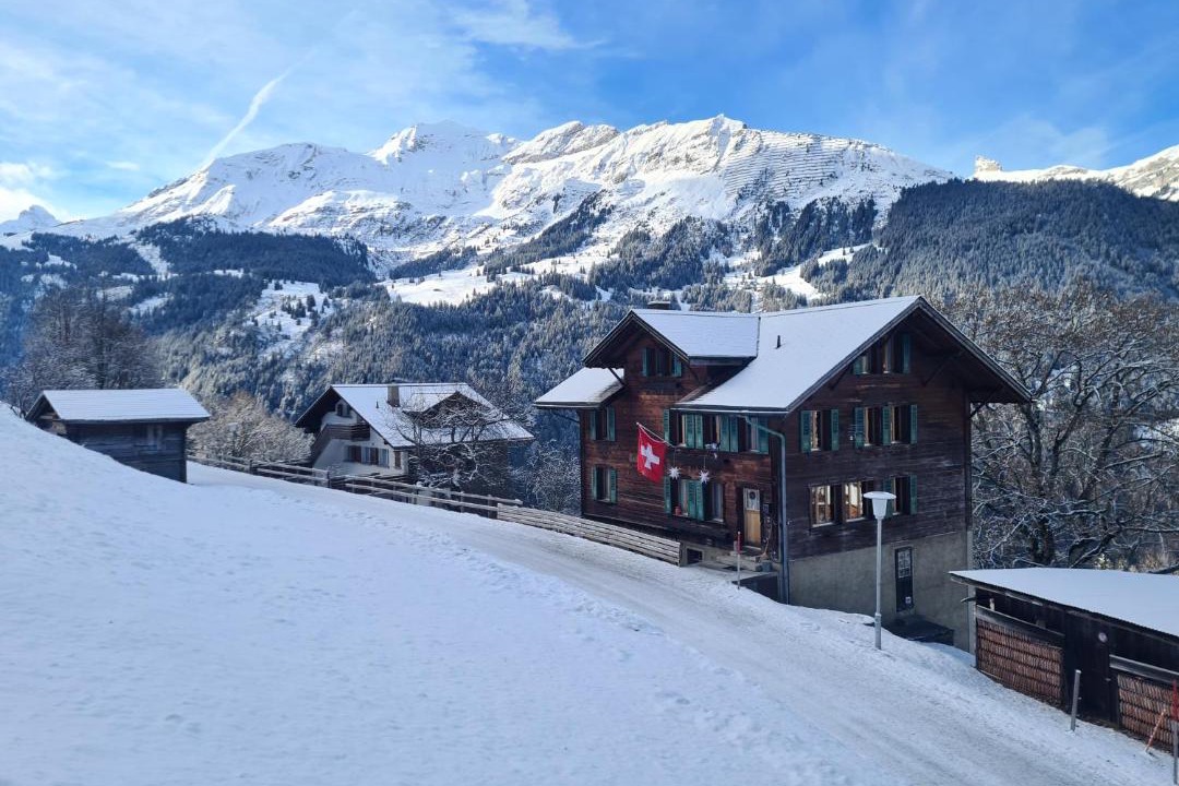 Photo of Others in Wengen