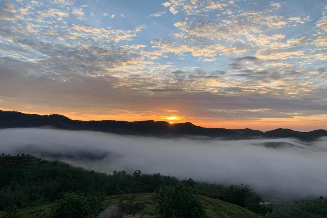 Photo of Others in Karak