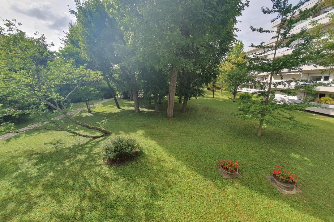 Photo of Others in Marly-le-Roi