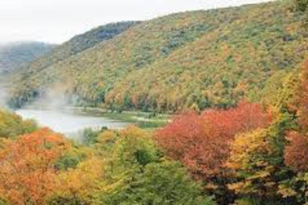 Photo of Outdoor in Wyalusing