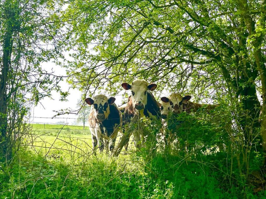 Photo of Others in Putanges-le-Lac