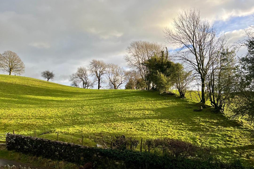 Photo of Others in Kendal