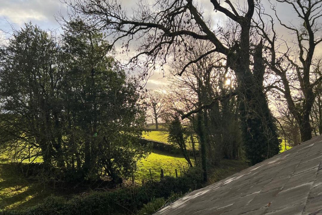 Photo of Others in Kendal