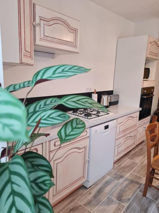 Photo of Kitchen in Largillay-Marsonnay