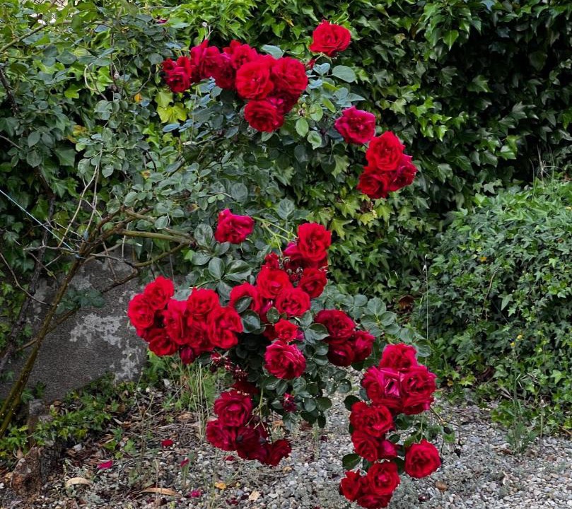 Photo of Others in Ginasservis