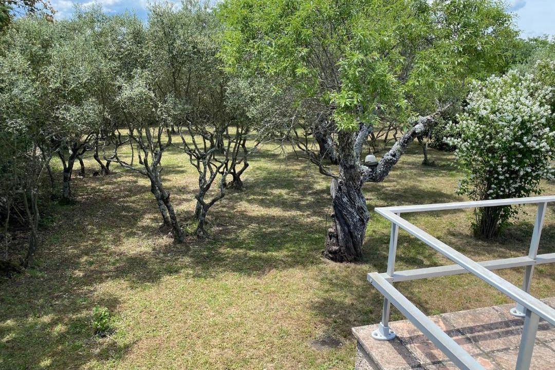 Photo of Others in Ginasservis