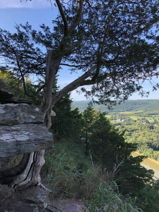 Photo of Others in Wyalusing