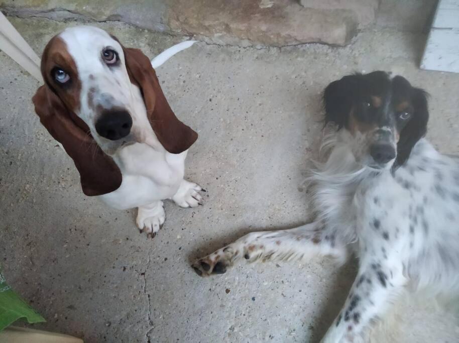 Photo of Human In Picture in Marboz