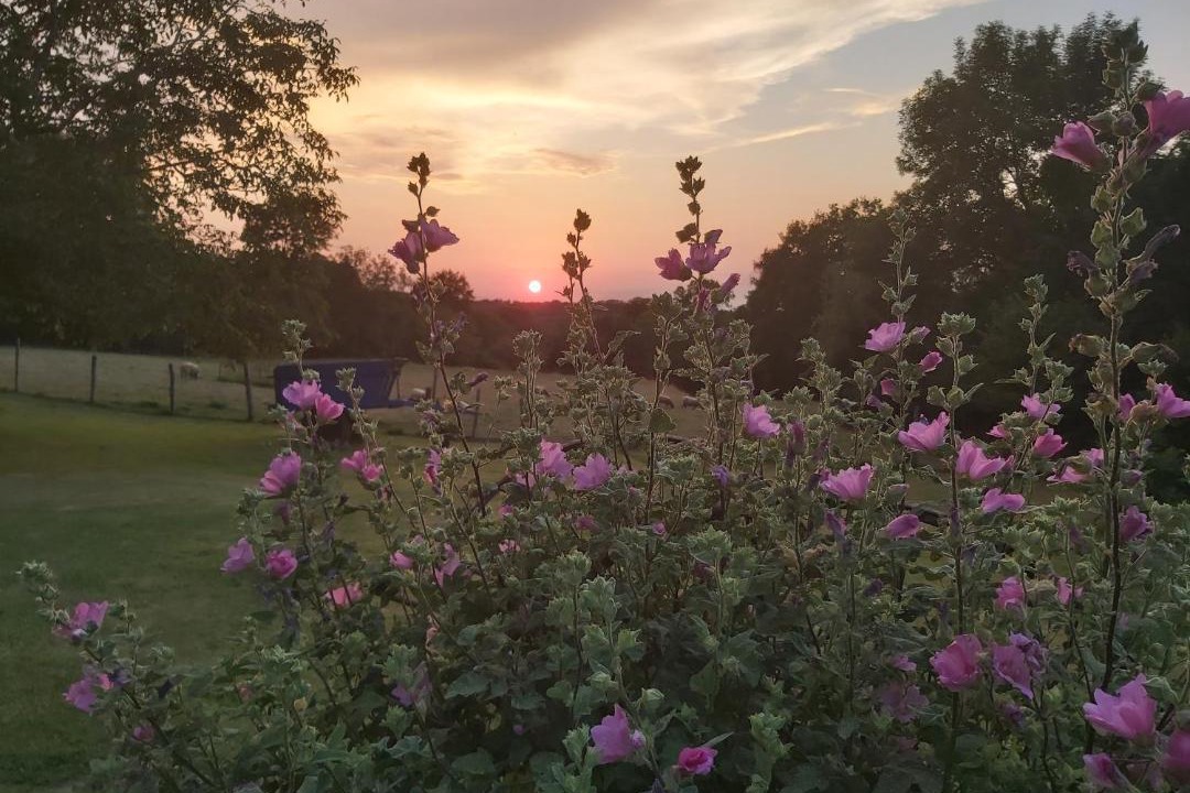 Photo of Others in Maillet