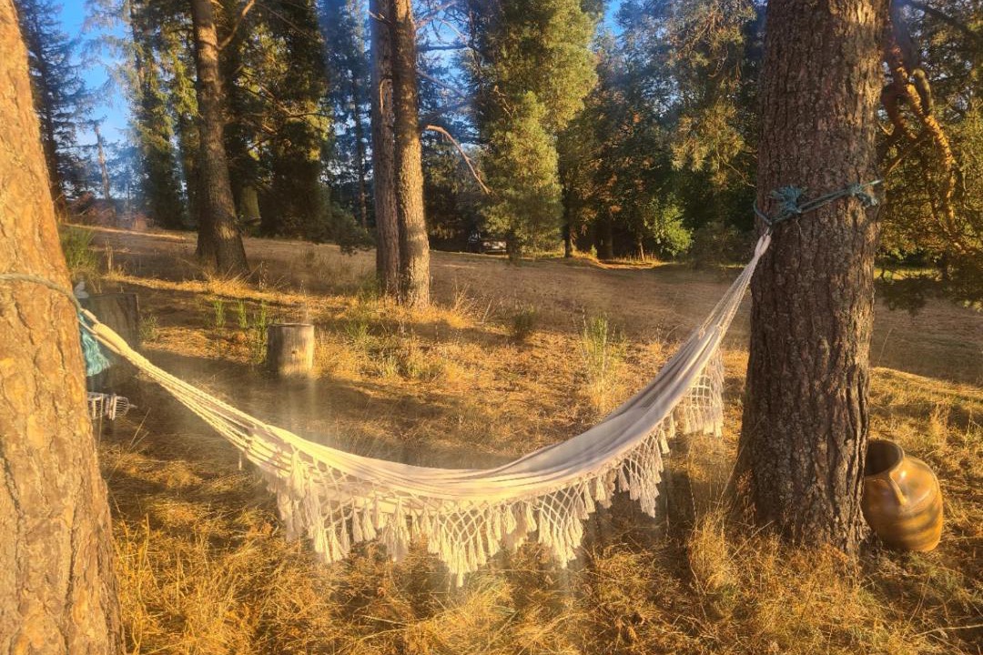 Photo of Others in Saint-Romain-Lachalm