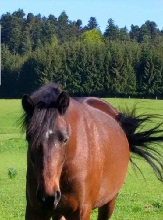 Photo of Others in Saint-Romain-Lachalm