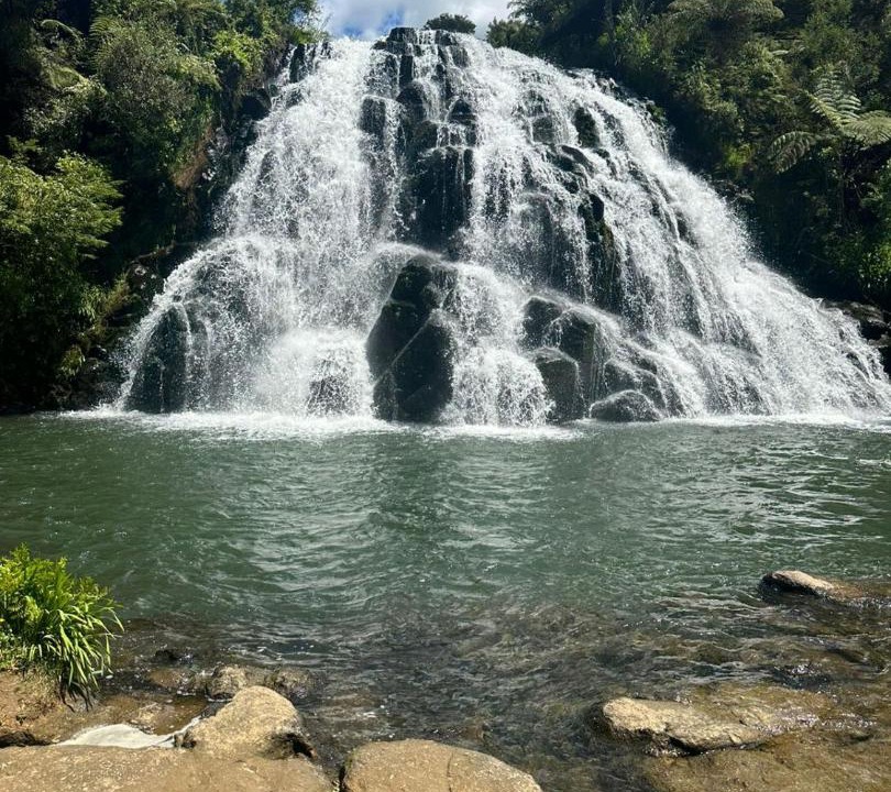 Photo of Others in Karangahake