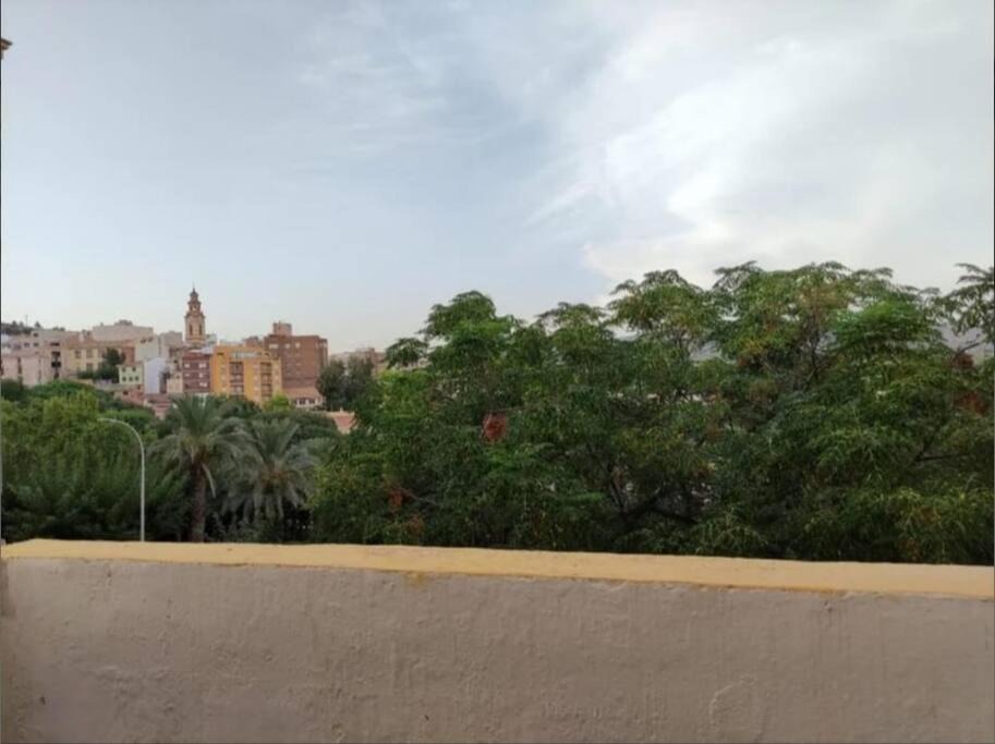 Photo of Outdoor in Alcora