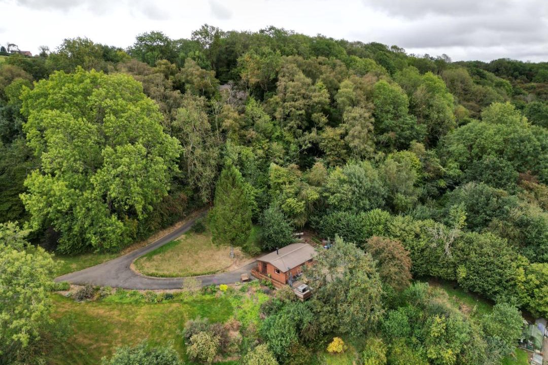 Photo of Others in Farden