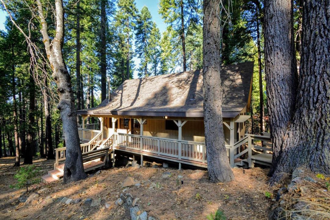 Photo of Others in Camp Connell