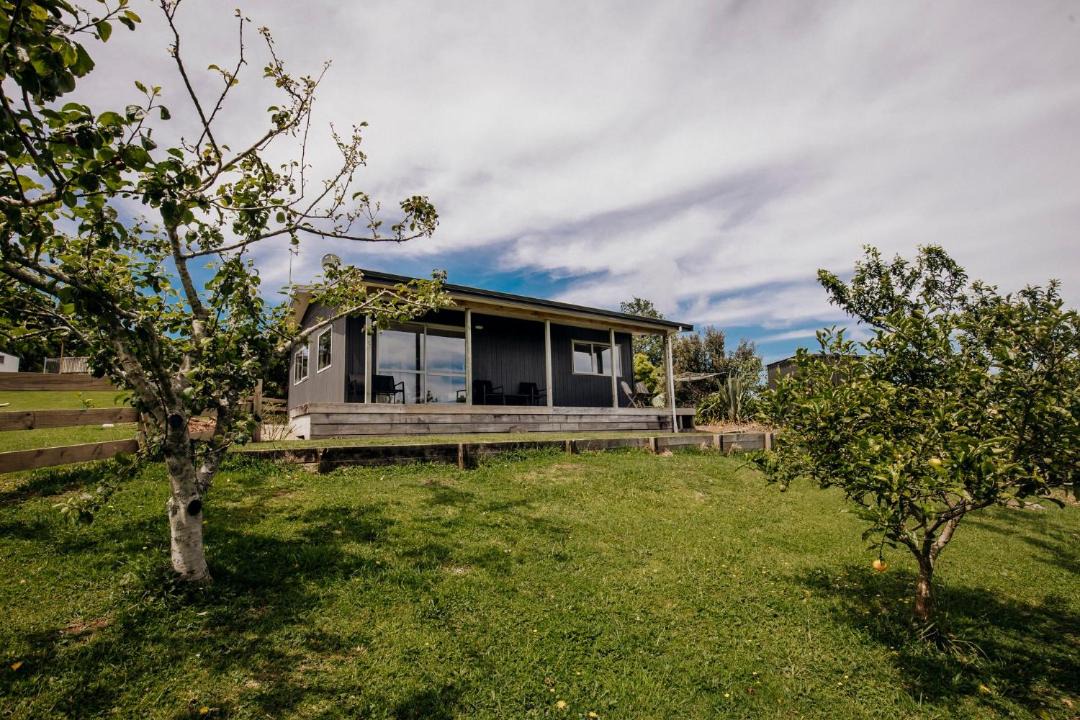 Photo of Buildings in Rewa