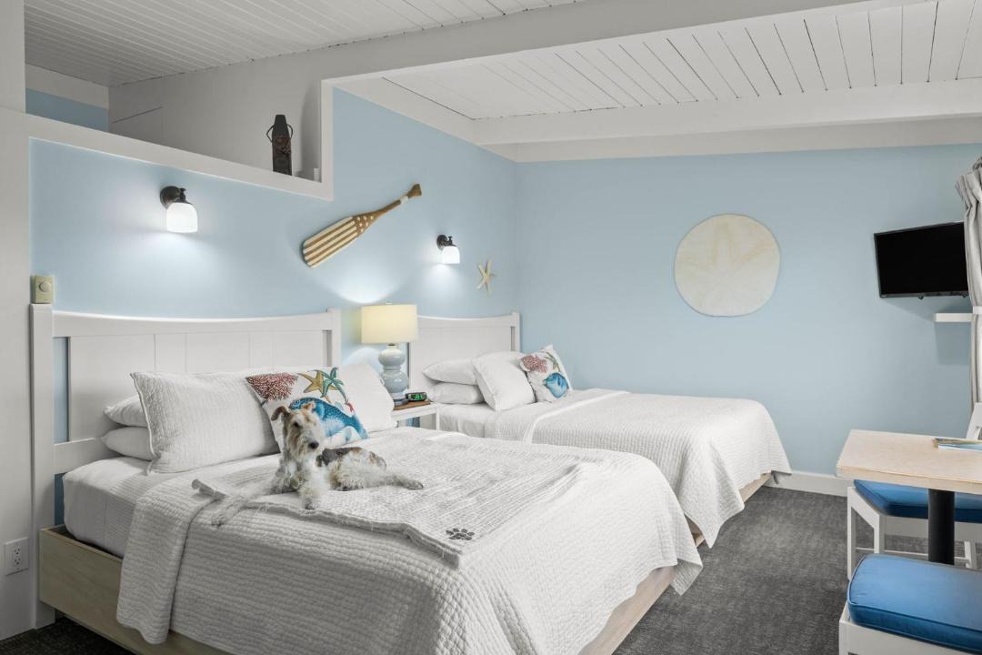 Photo of Others in Garibaldi