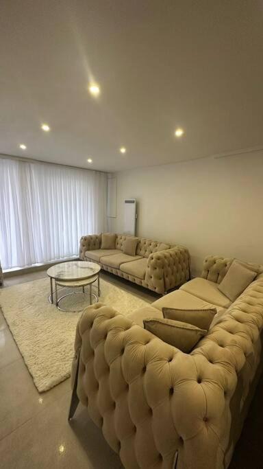 Photo of Livingroom in Argenteuil