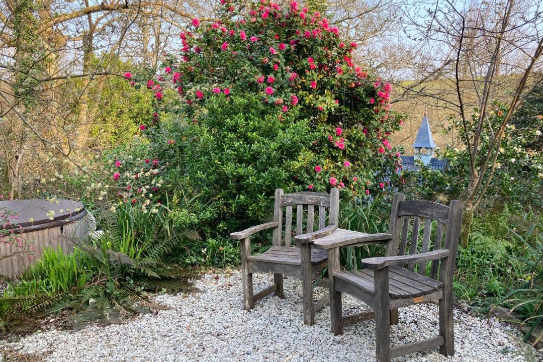 Photo of Others in Bude