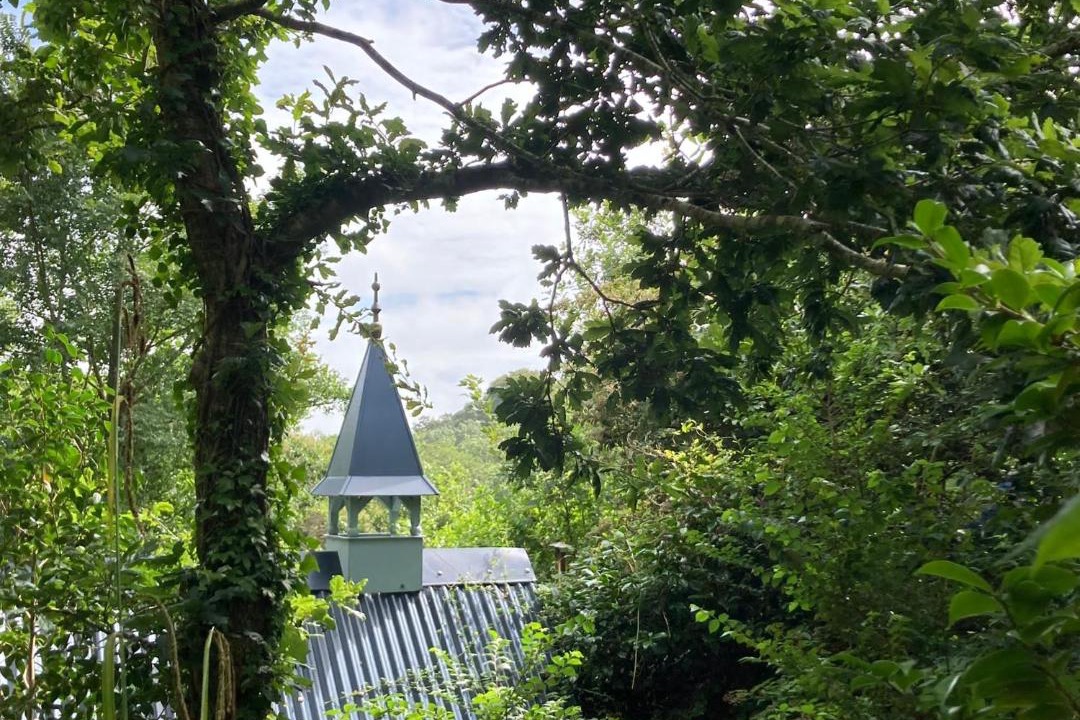 Photo of Others in Bude