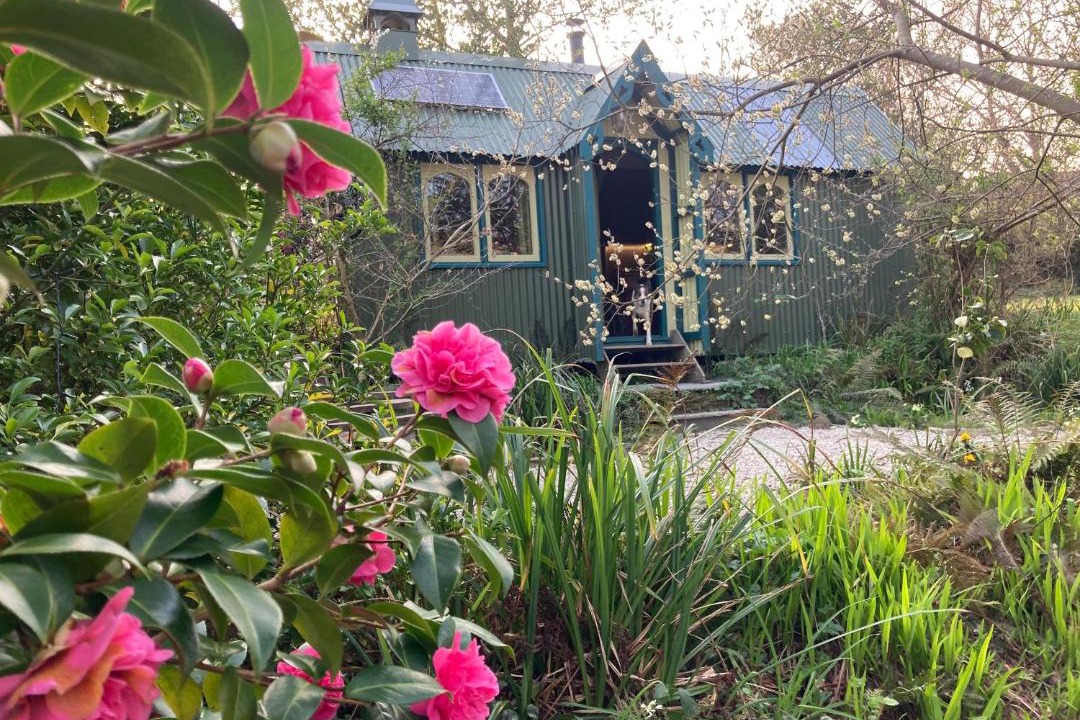 Photo of Others in Bude