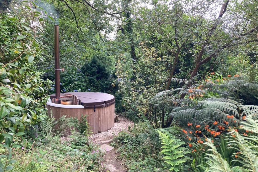 Photo of Others in Bude