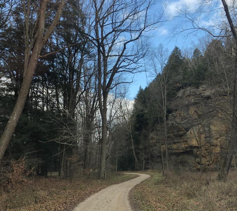 Photo of Outdoor in South Bloomingville