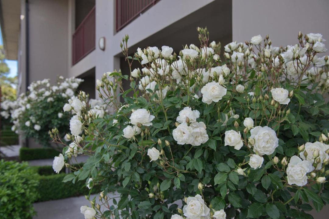 Photo of Others in Ashburton