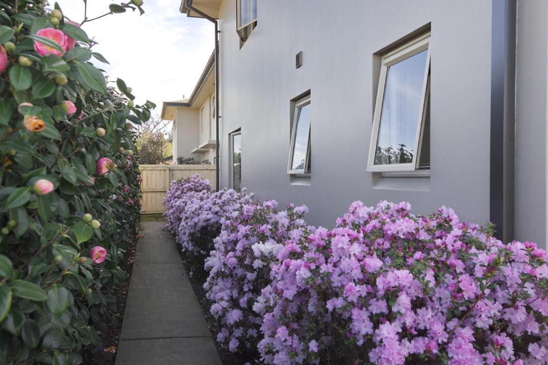 Photo of Others in Ashburton