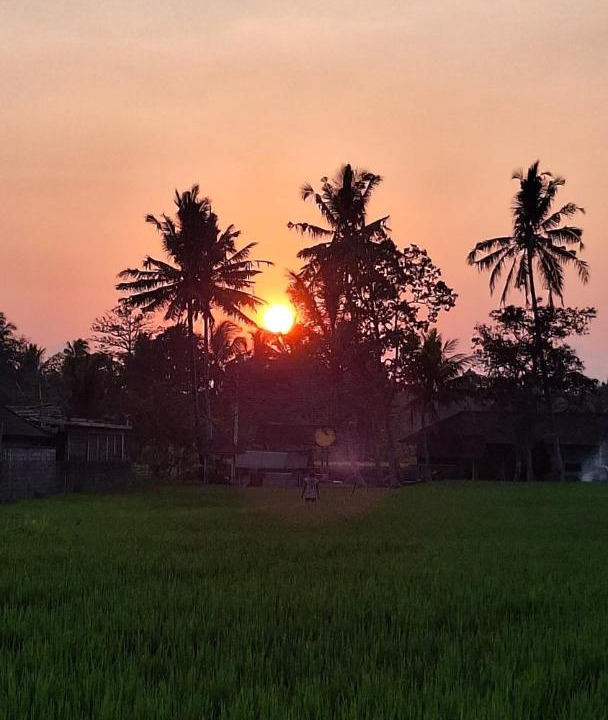 Photo of Others in Tampaksiring