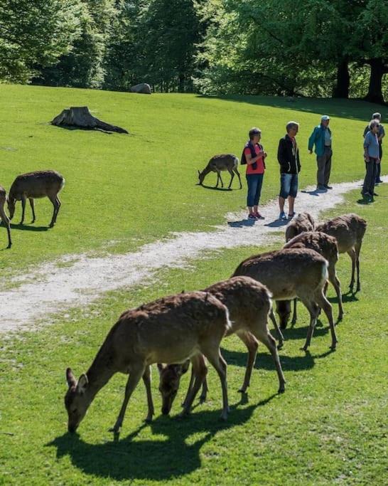 Photo of Others in Aarhus C