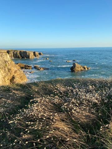 Photo of Others in Le Pouliguen
