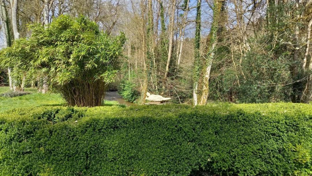 Photo of Others in Pleyber-Christ