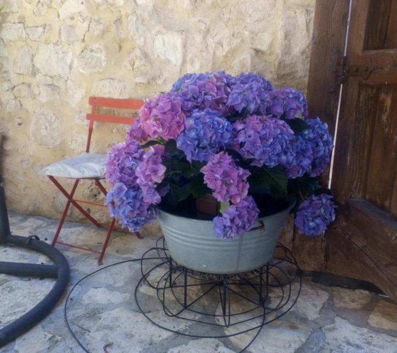 Photo of Others in Valleruela de Sepulveda