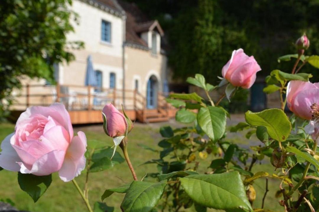 Photo of Others in Chambourg-sur-Indre