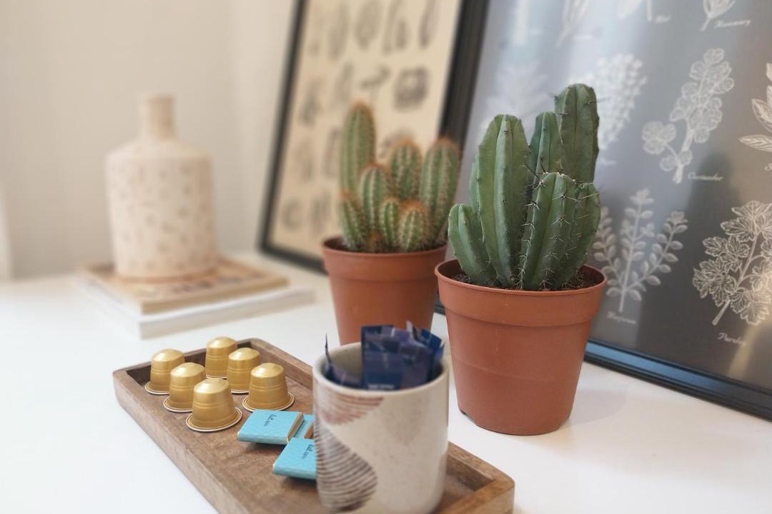 Photo of Others in Terreaux - Bat d'argent