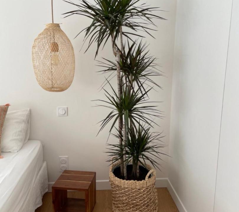 Photo of Others in Reyrieux