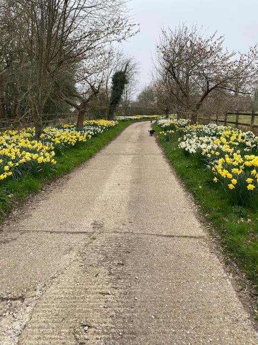 Photo of Others in Wadhurst