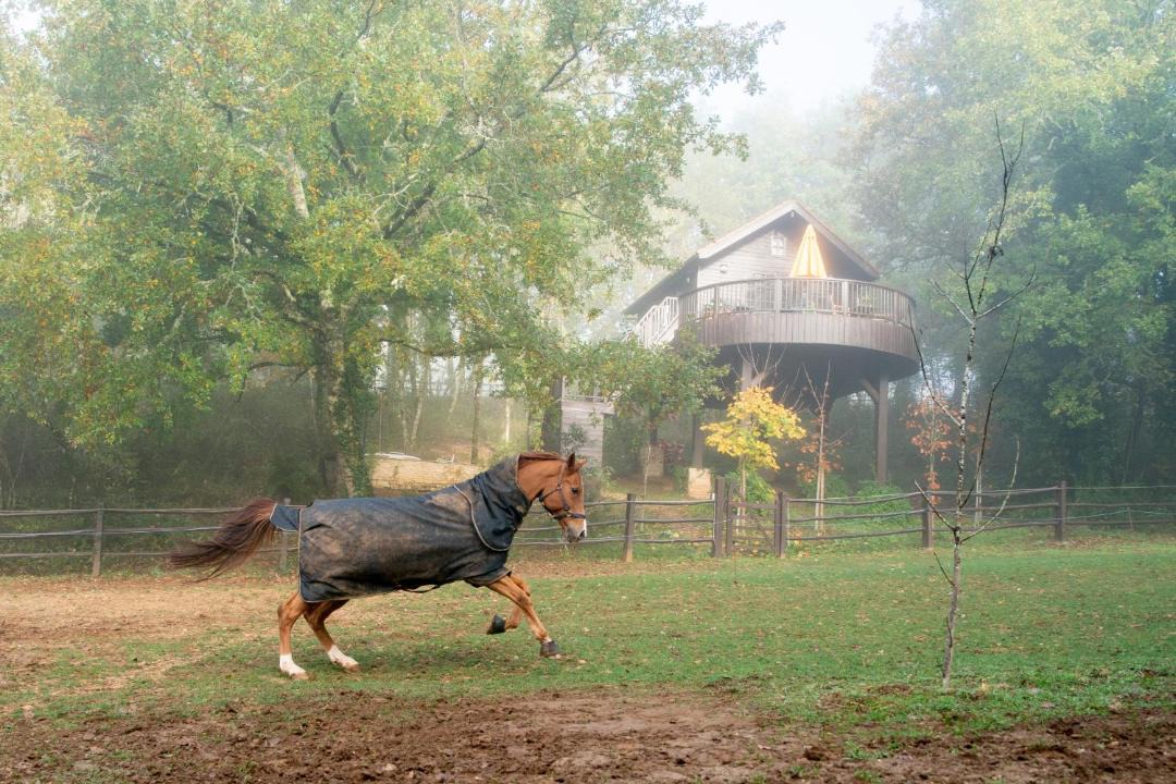 Photo of Others in Auriac-du-Perigord
