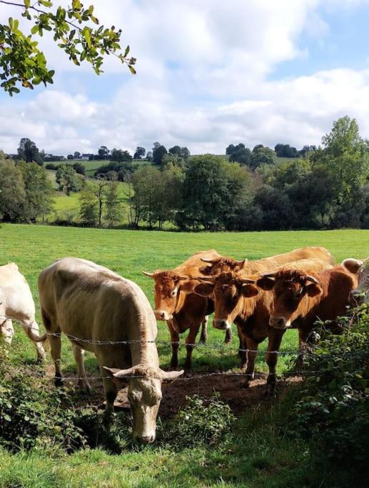 Photo of Others in Reffuveille