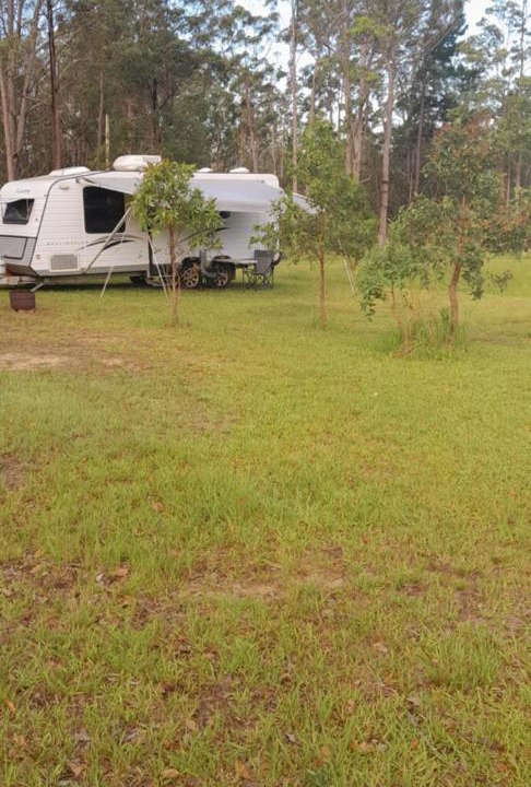 Photo of Buildings in Cedar Party