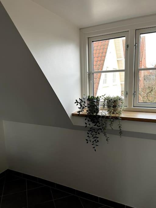 Photo of Others in Odense