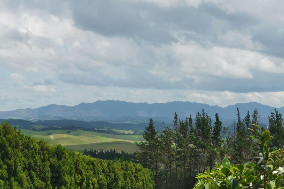 Photo of Others in Maungatapere